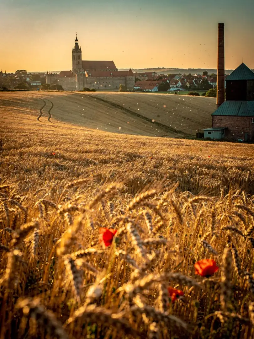 Malt & Grain in the region Augsburg & Bavarian Swabia