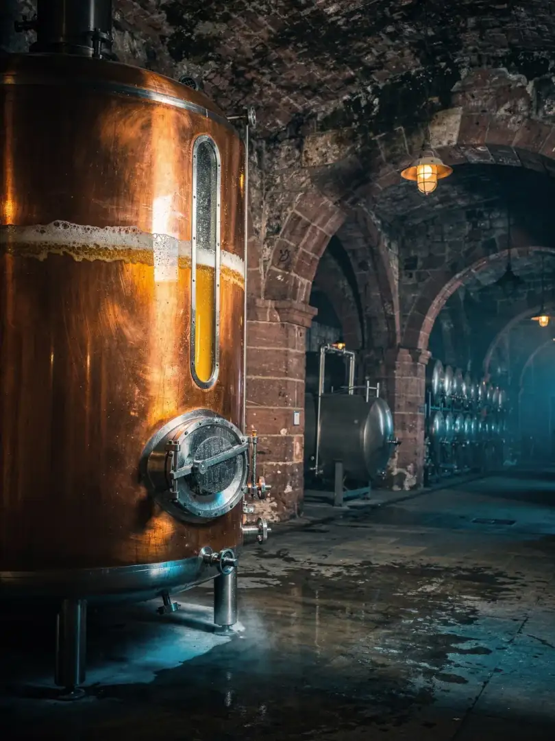 Yeast & Fermentation in the region Baden & Kurpfalz