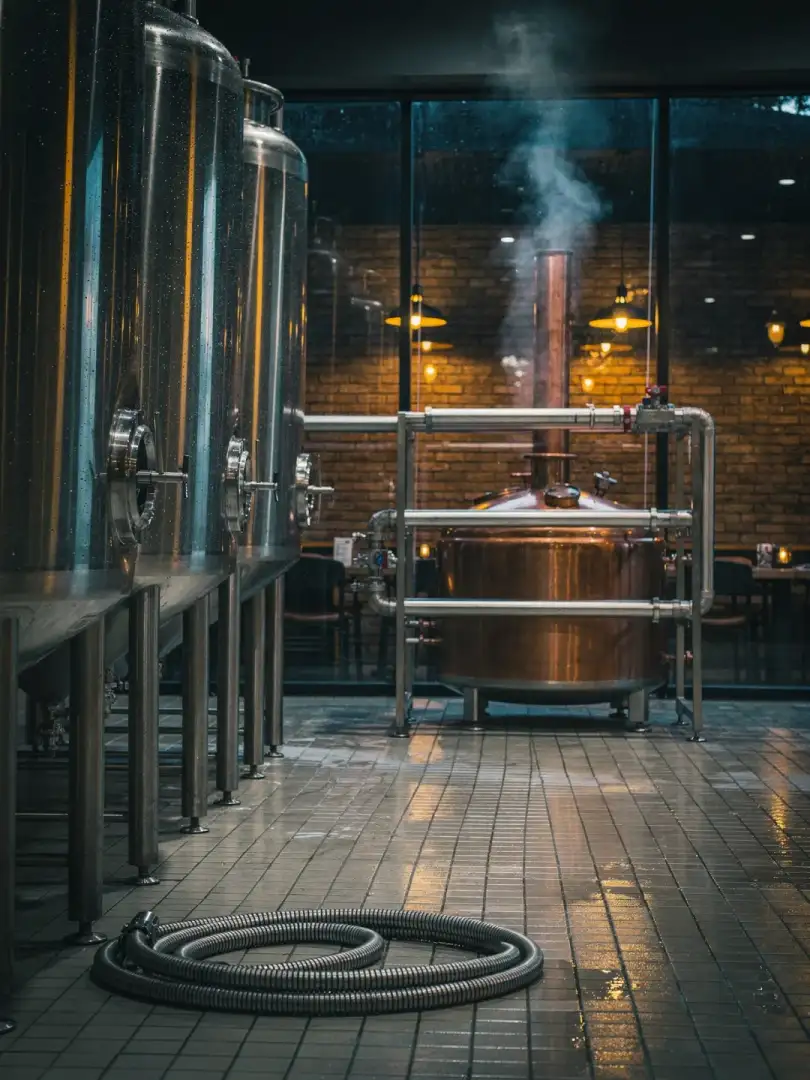 Yeast & Fermentation in the region Bengaluru