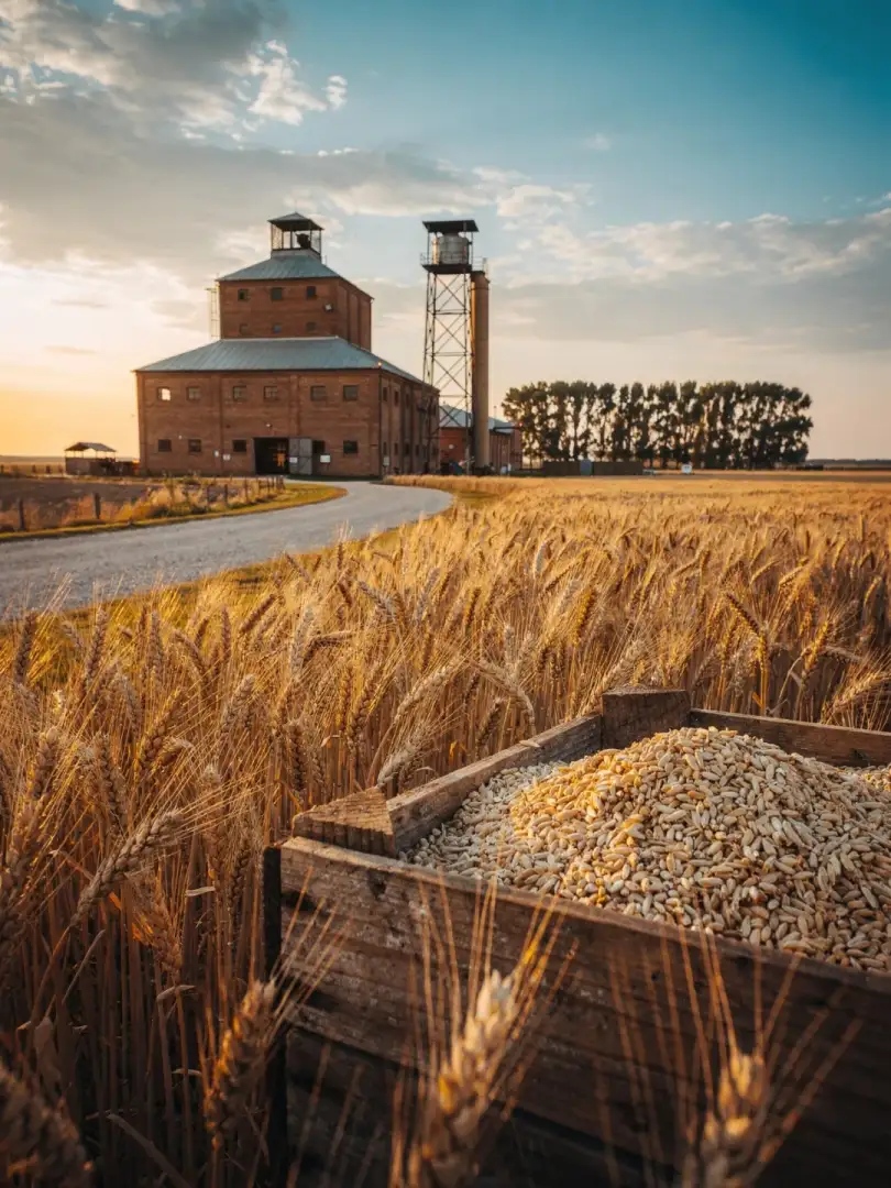 Malt & Grain in the region Buenos Aires