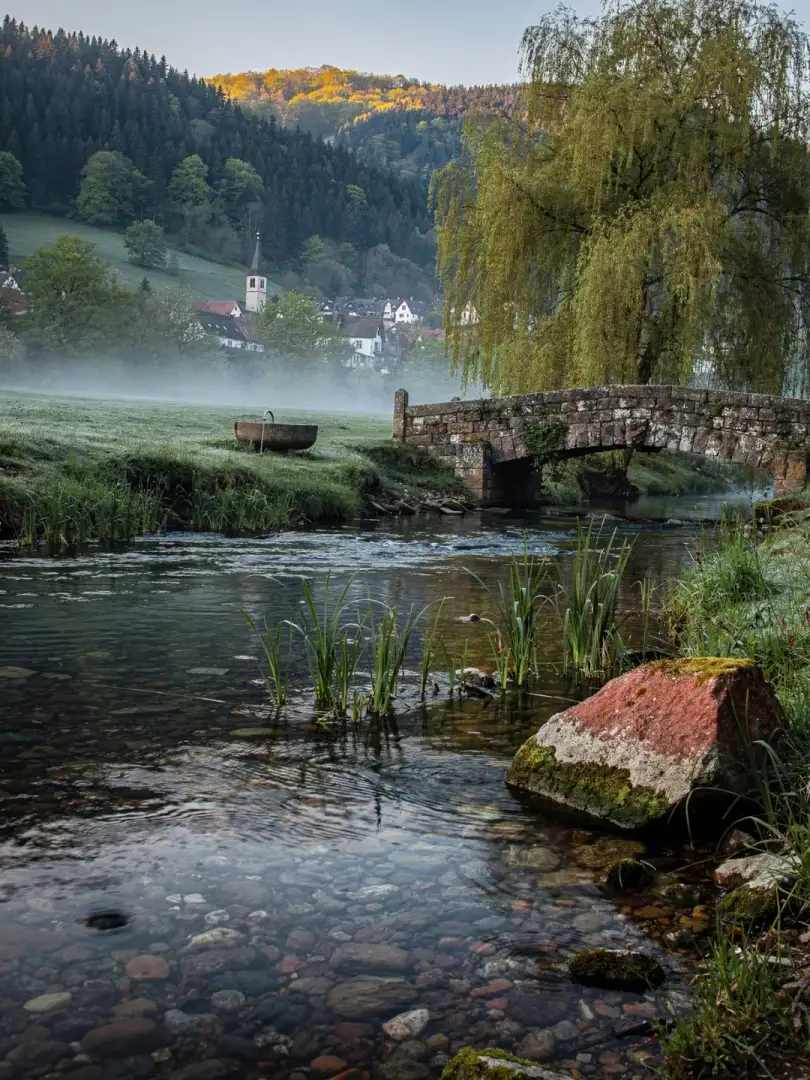 Water & Soil in the region Coburg & Itzgrund