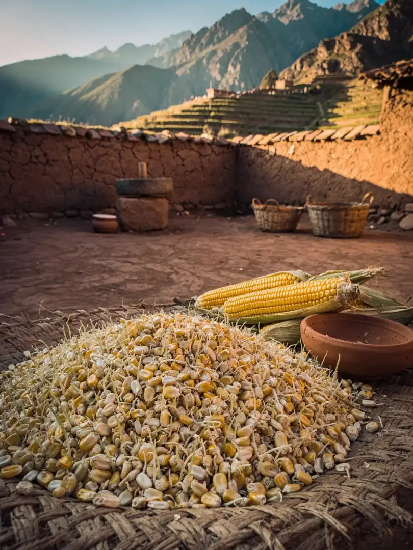 Malt & Grain in the region Cusco & the Andes