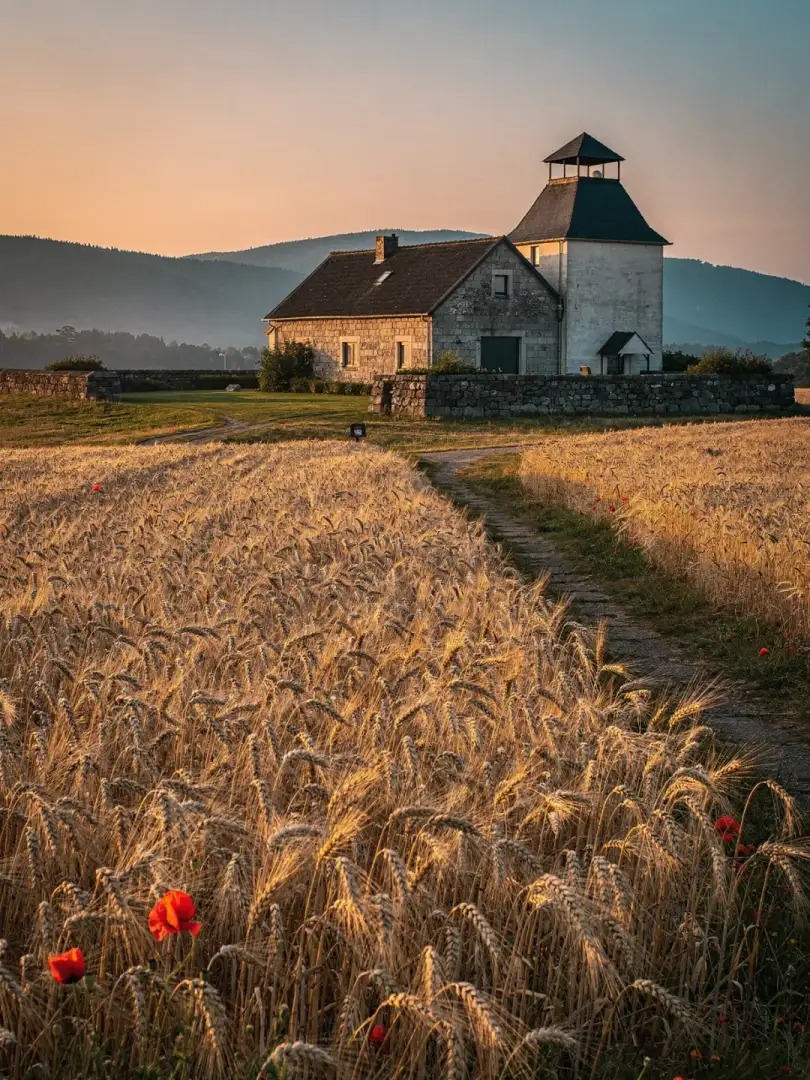 Malt & Grain in the region Bitburg & Eifel