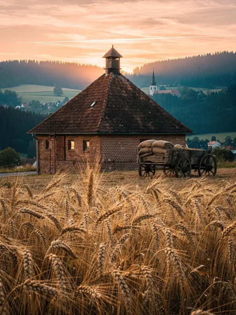 Malt & Grain in the region Erzgebirge & Vogtland