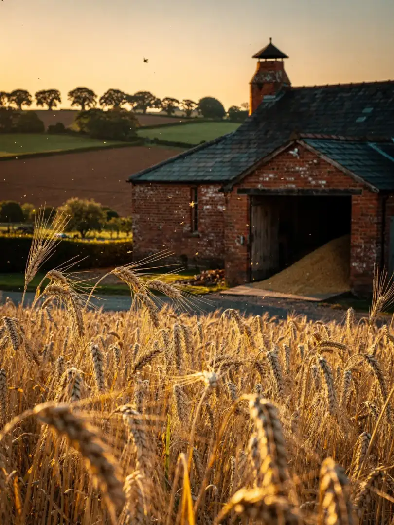 Malt & Grain in the region Herefordshire & Worcestershire