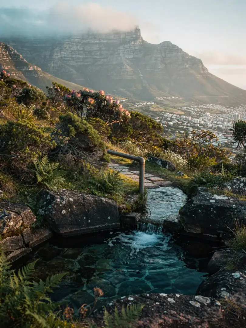 Water & Soil in the region Cape Town