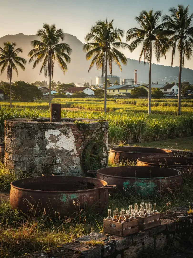 Region & History in the region Kingston & Jamaica