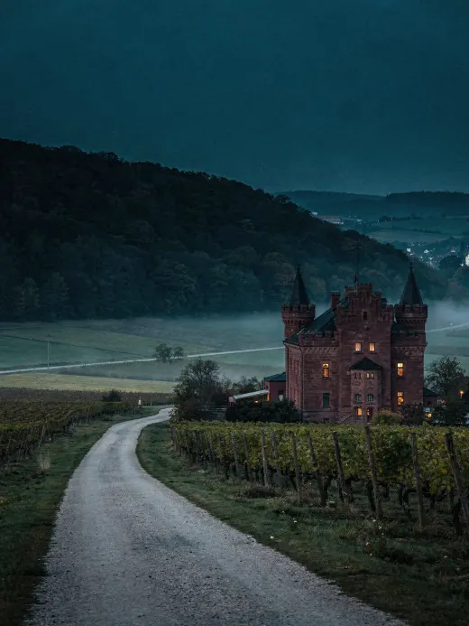 Landscape of the region Baden & Kurpfalz