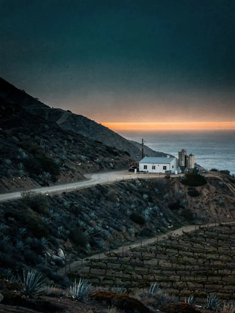 Landscape of the region Baja California