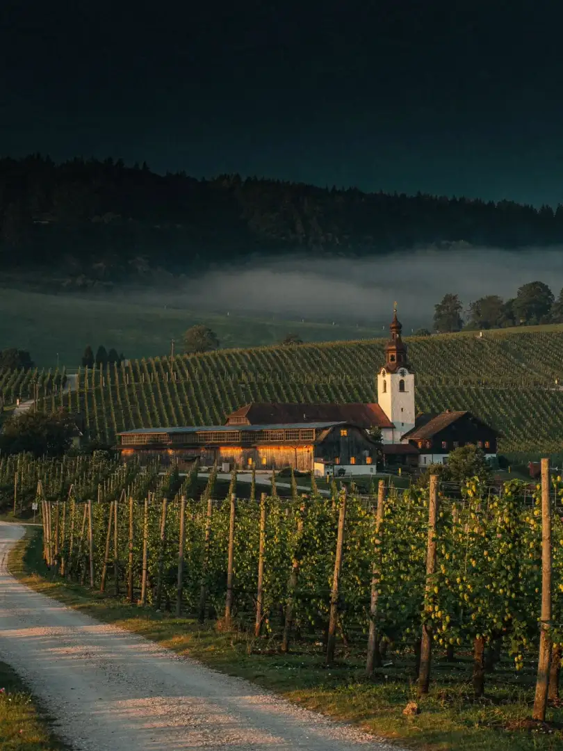 Landschaft der Region Hallertau