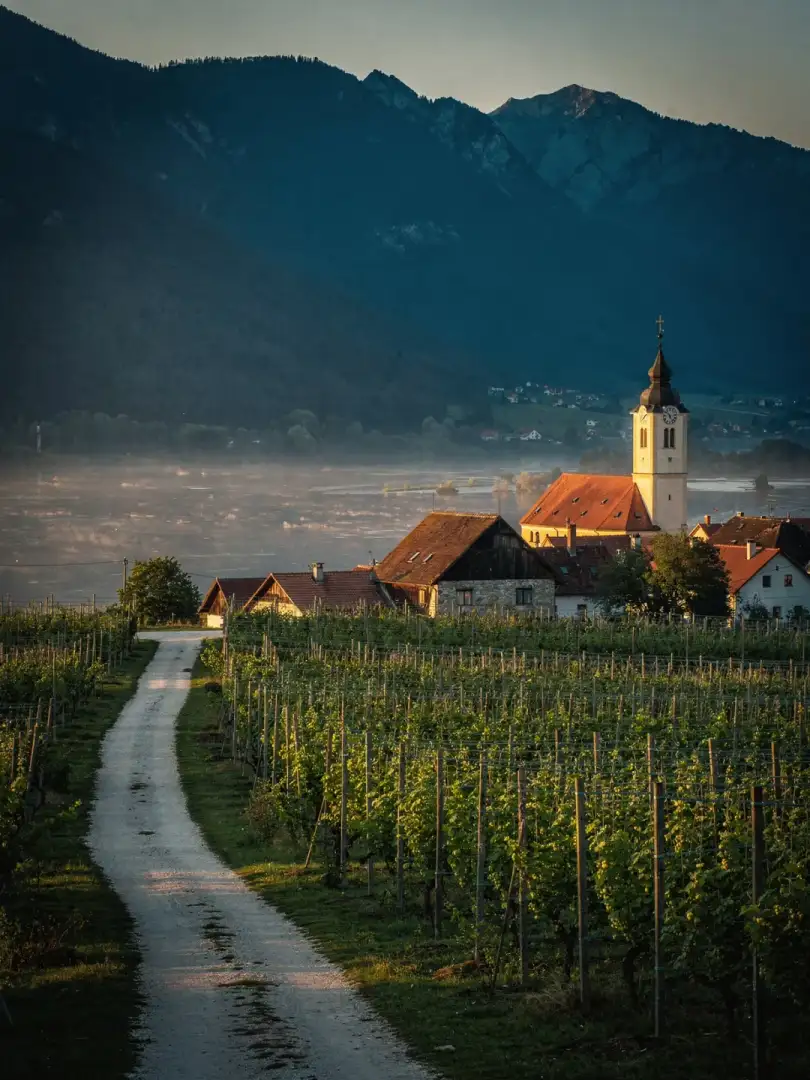 Landscape of the region Sanntal & Žalec