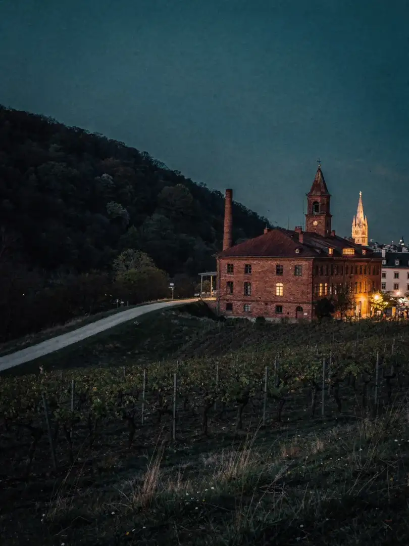 Landschaft der Region Wien