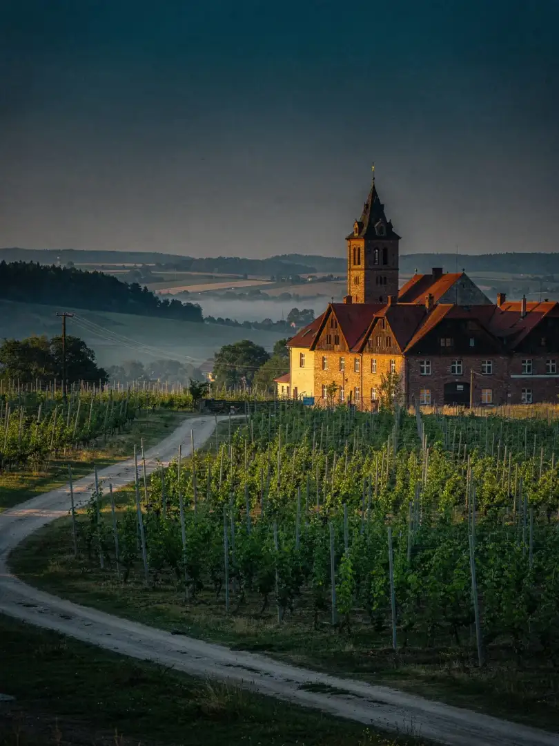 Landschaft der Region Saazer Land