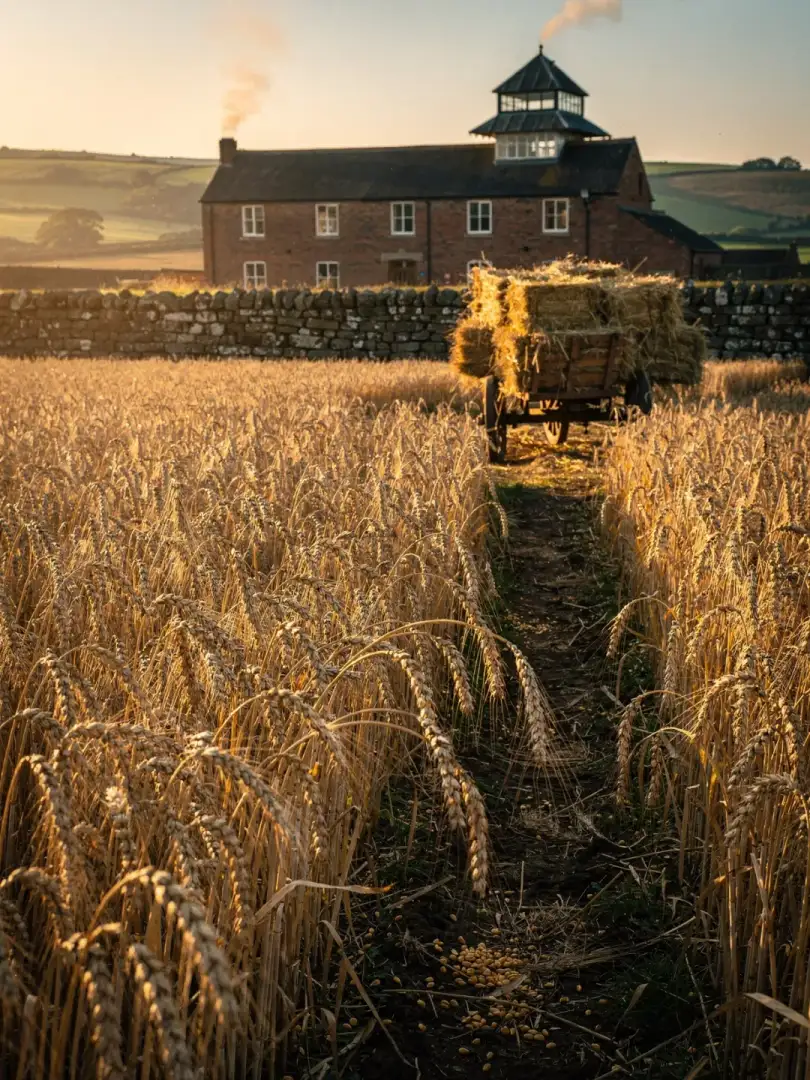 Malt & Grain in the region Manchester & the Northwest