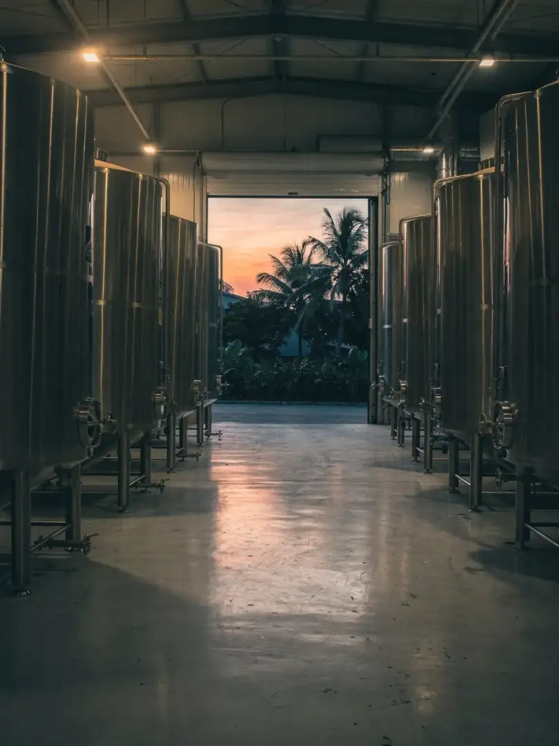 Yeast & Fermentation in the region Manila