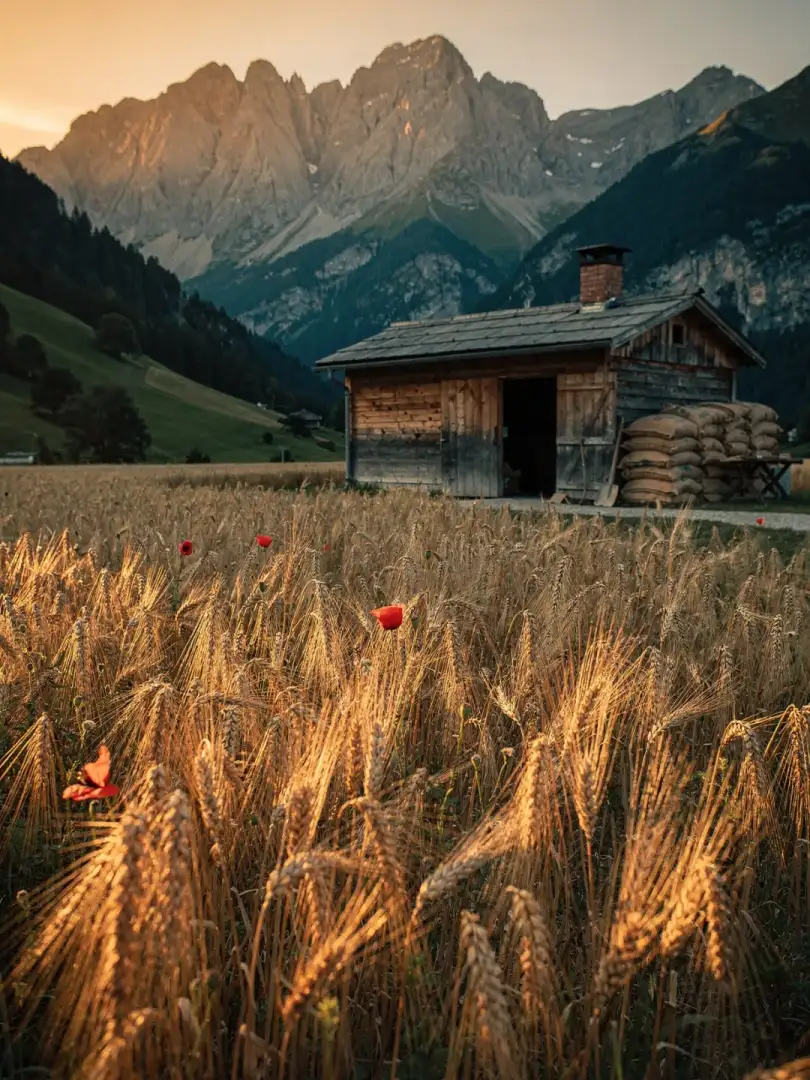 Malz & Getreide in der Region Ostschweiz & Appenzell