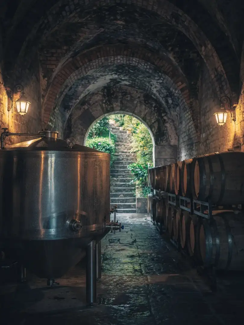 Yeast & Fermentation in the region Petrópolis & Rio