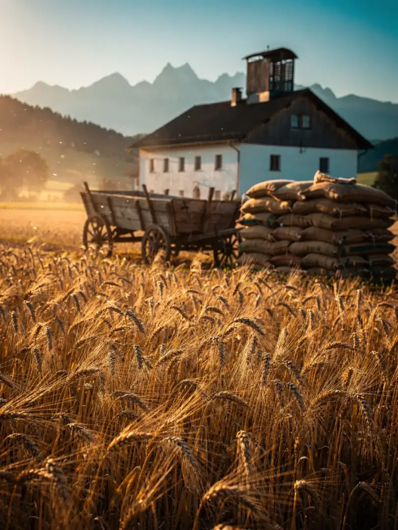 Malt & Grain in the region Rosenheim & Inntal