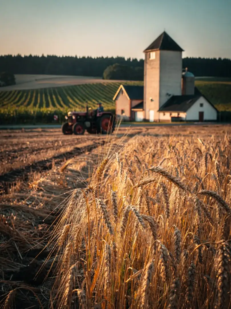 Malt & Grain in the region Saarland & Palatinate