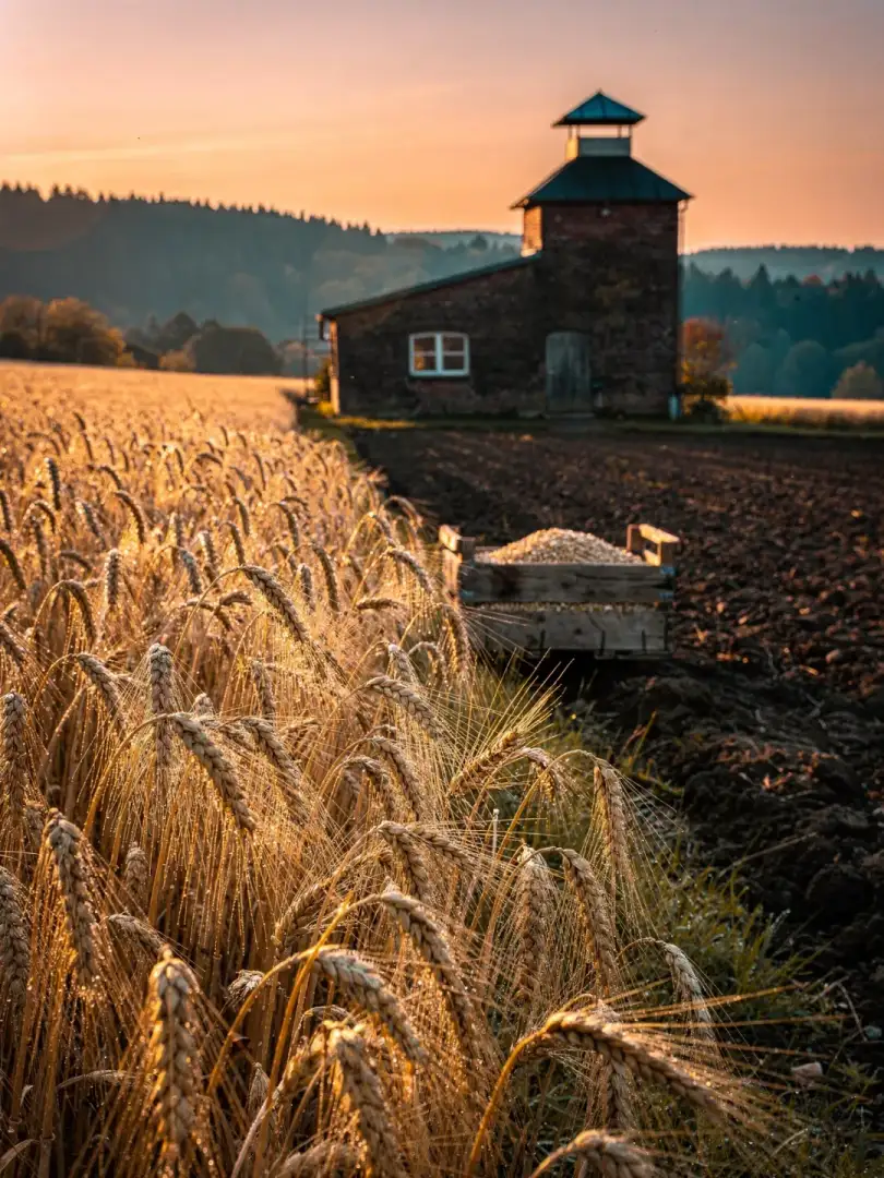 Malz & Getreide in der Region Sauerland & Siegerland