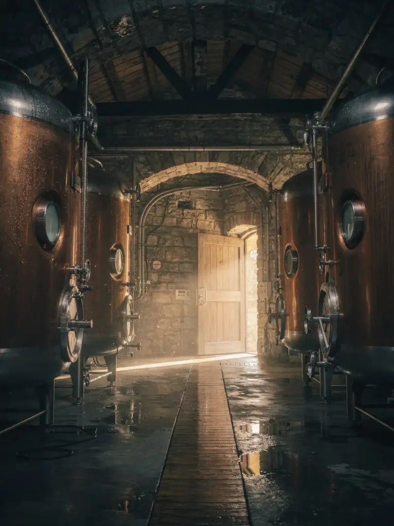 Yeast & Fermentation in the region Black Forest