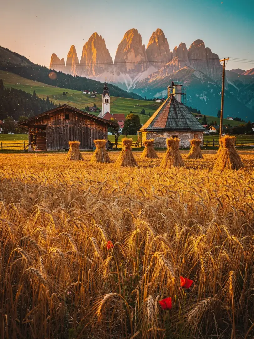 Malz & Getreide in der Region Südtirol