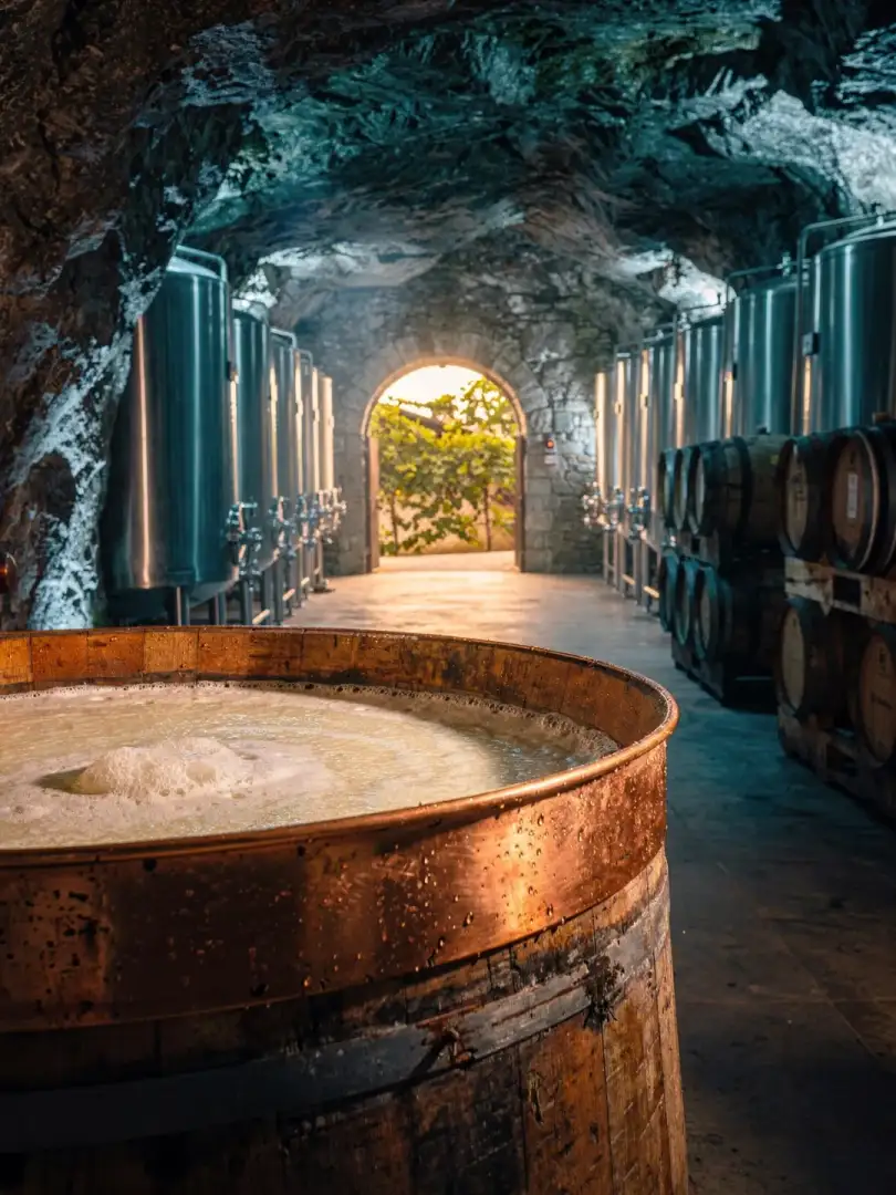 Hefe & Gärung in der Region Südtirol