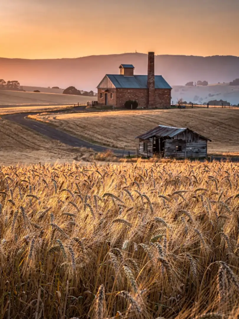 Malt & Grain in the region Tasmania