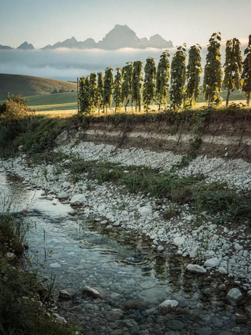 Water & Soil in the region Tettnang & Lake Constance