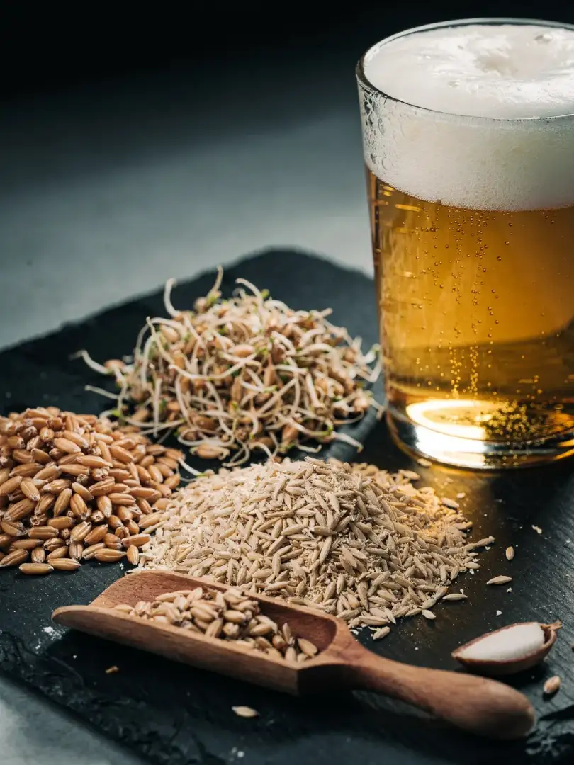 Was ist Malz? Warum Bier Malz braucht