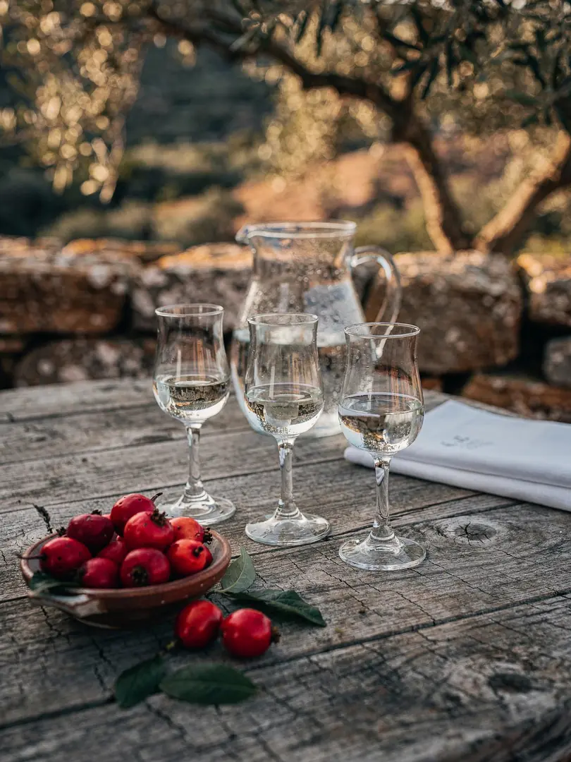 Tasting in the region Algarve