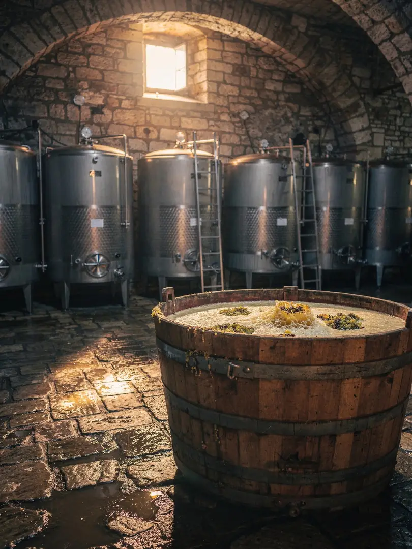 Mash & Fermentation in the region Bulgaria