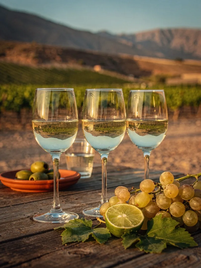 Verkosten in der Region Elqui & Limarí