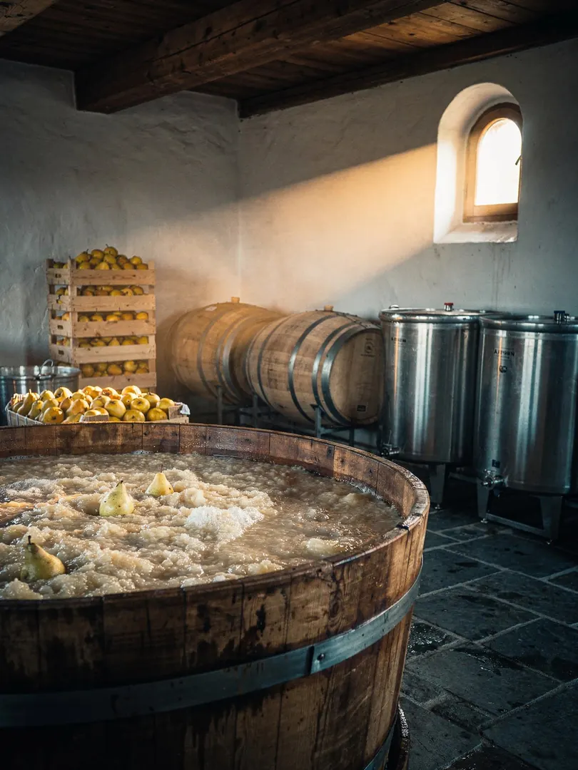 Mash & Fermentation in the region South Tyrol's Unterland & Adige Valley