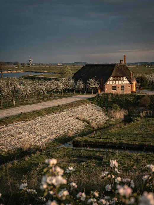 Landschaft der Region Altes Land & Norden