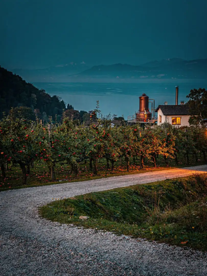Landscape of the region Lake Constance (German shore)