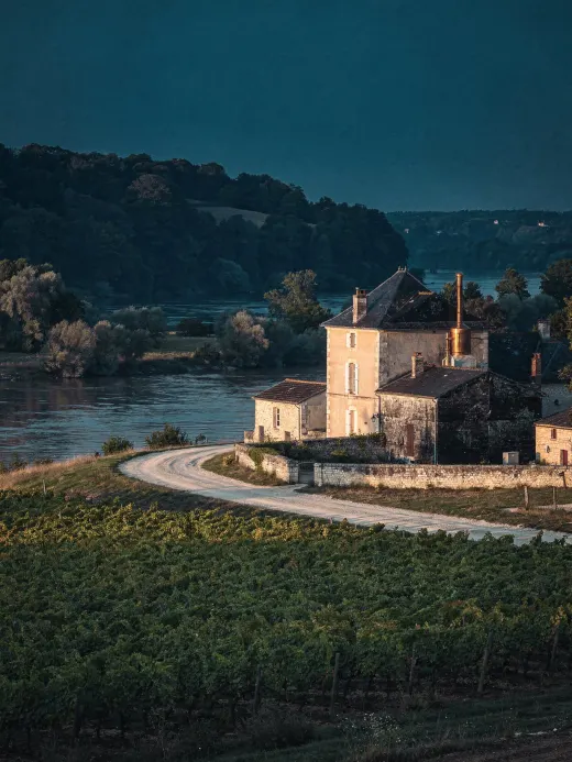 Landschaft der Region Cognac & Jarnac