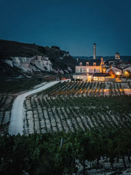 Landschaft der Region Grande & Petite Champagne