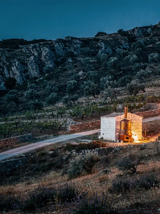 Landschaft der Region Kreta