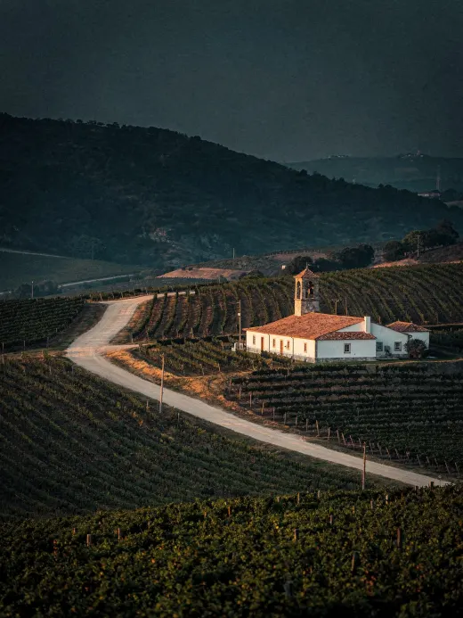 Landschaft der Region Lourinhã & Nordportugal