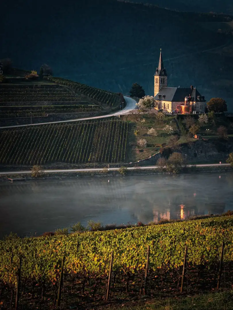 Landschaft der Region Mosel & Saar