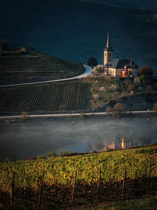 Landschaft der Region Mosel & Saar