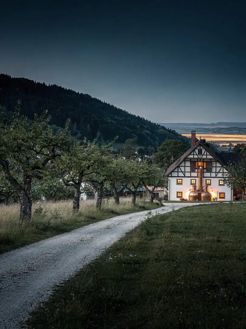 Landschaft der Region Ortenau & Renchtal