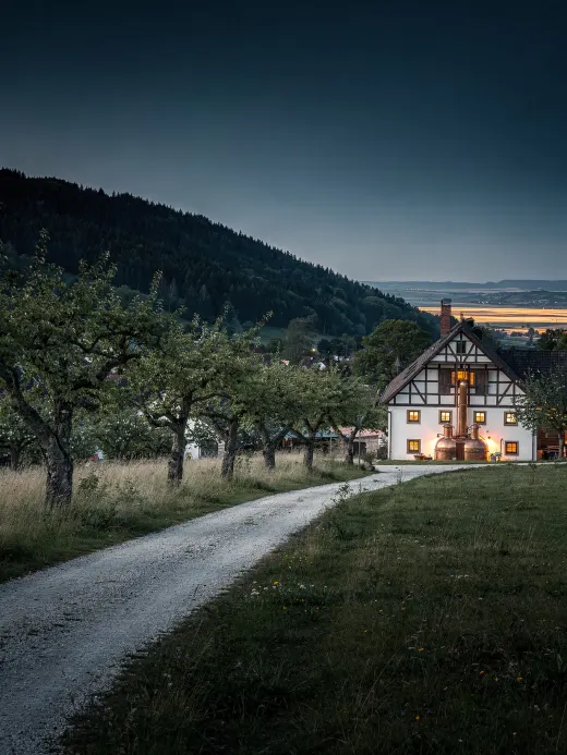 Landschaft der Region Ortenau & Renchtal
