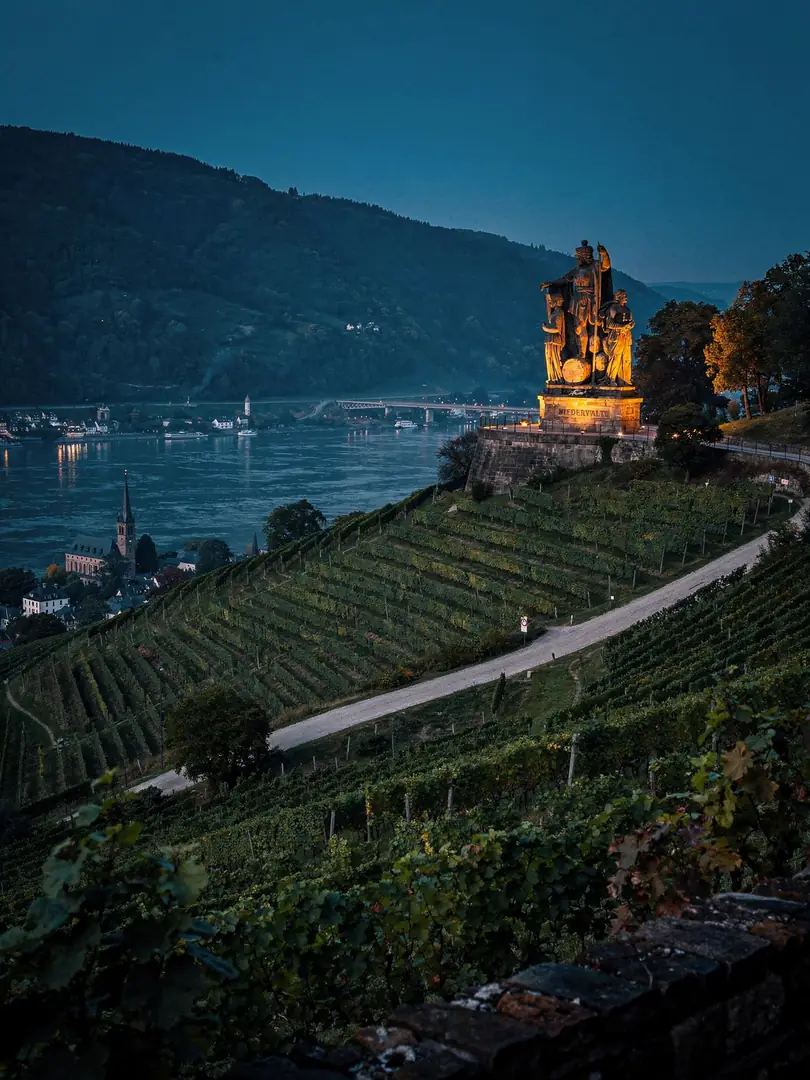 Landschaft der Region Rüdesheim & Rheingau