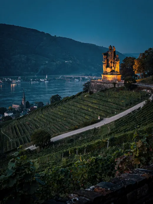 Landschaft der Region Rüdesheim & Rheingau