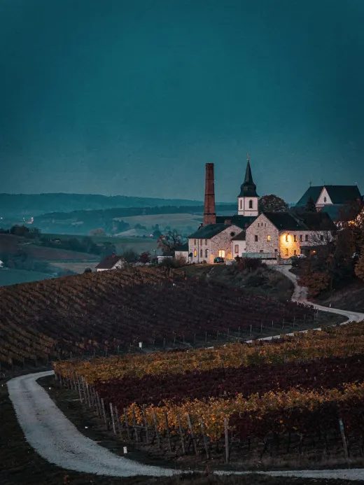 Landschaft der Region Rheinhessen & Pfalz