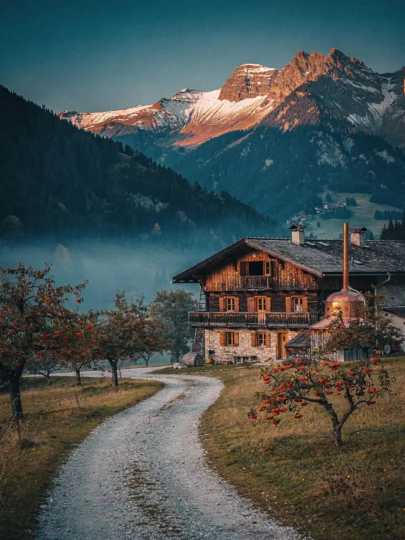 Landscape of the region Tyrol & East Tyrol