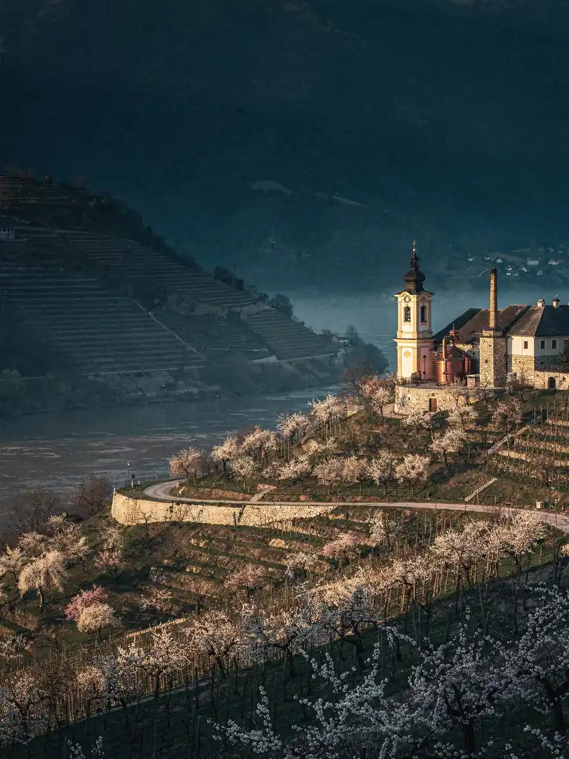 Landscape of the region Wachau