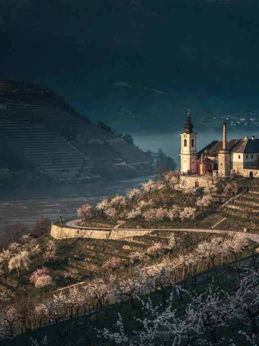 Landschaft der Region Wachau
